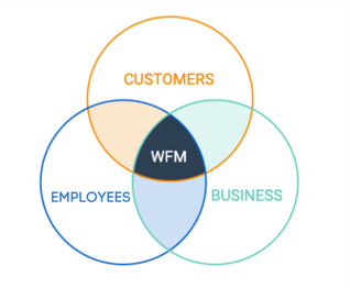 WFM-circles_new-1
